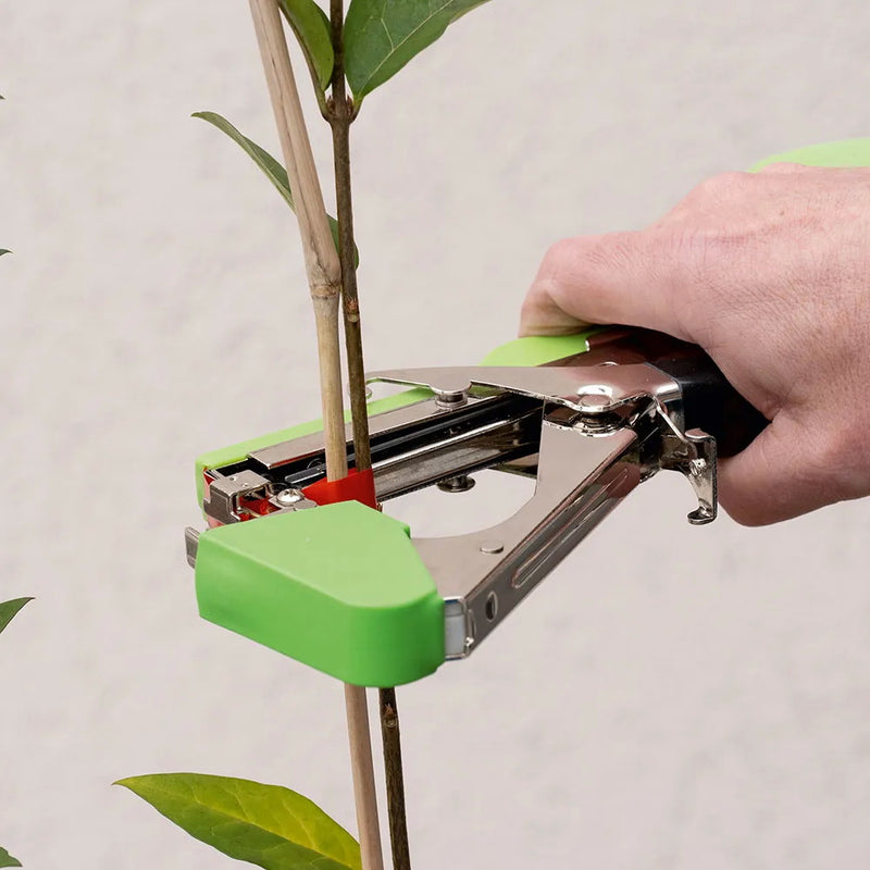 Set Pflanzenbindewerkzeug mit Bindeband und Heftklammern